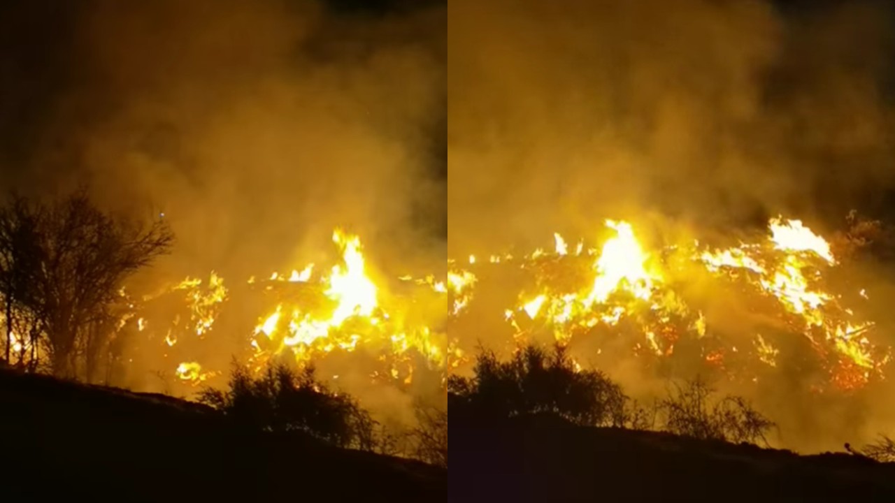 ΒΙΝΤΕΟ: Πυρκαγιά στον Κοτσιάτη, συναγερμός στην Πυροσβεστική