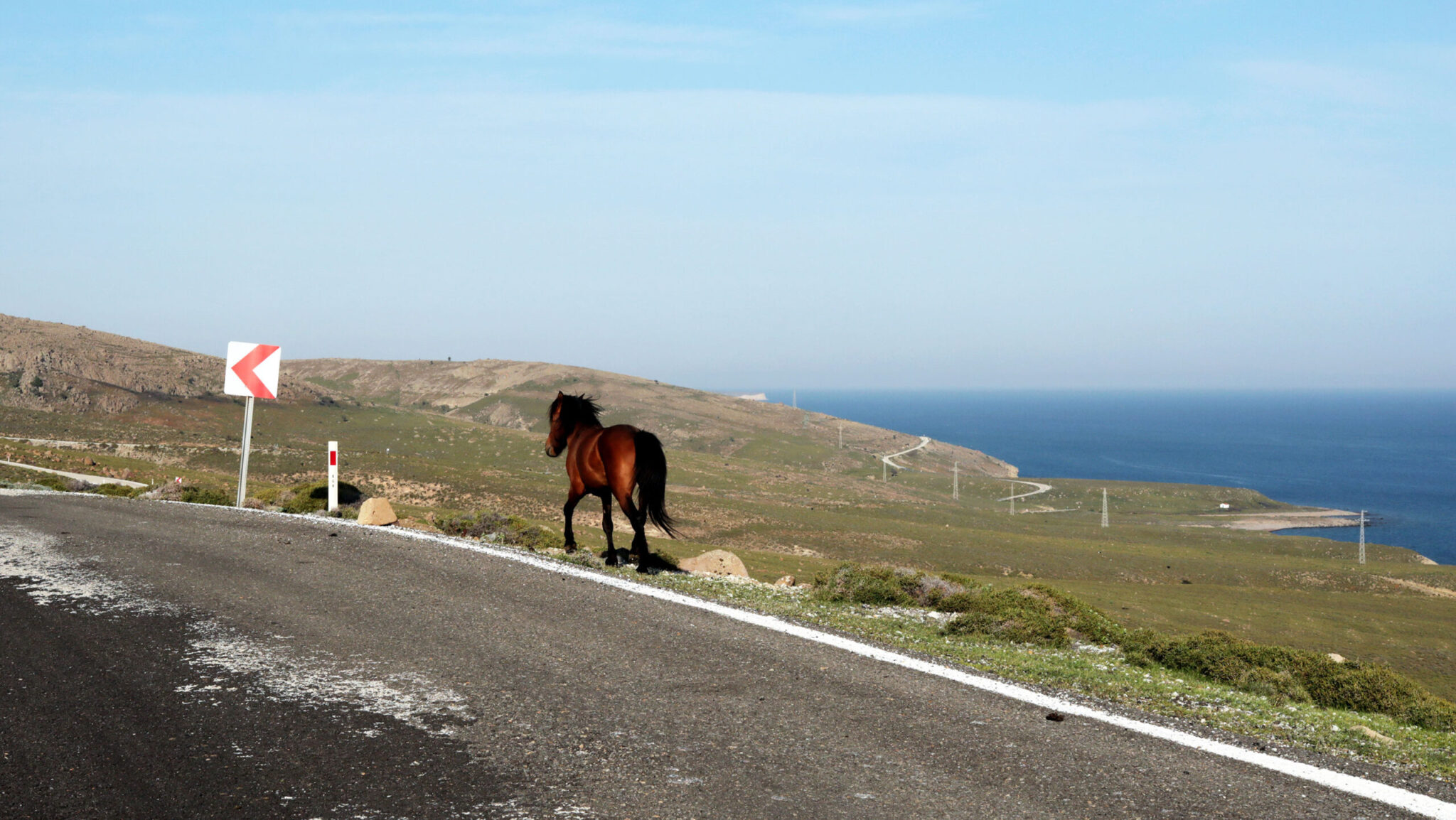 Τινάζεις χαλιά ή τρέχεις με άλογο; Κινδυνεύεις με εξώδικο €85!
