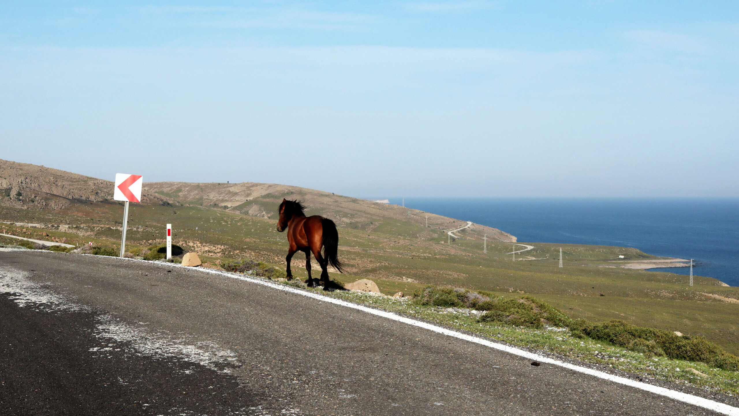 Τινάζεις χαλιά ή τρέχεις με άλογο; Κινδυνεύεις με εξώδικο €85!