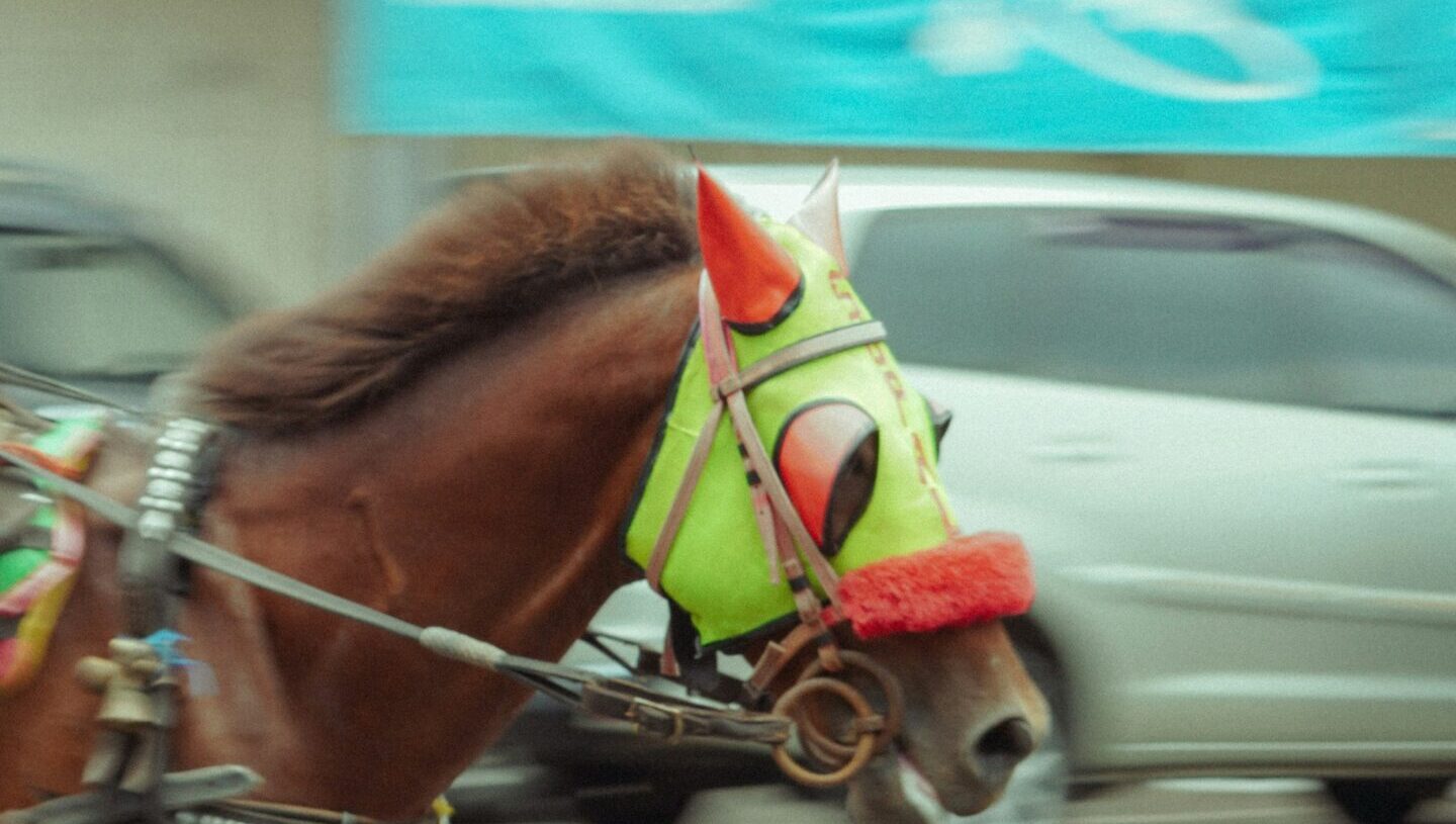 Εξώδικα και για τα ανοιχτά παντζούρια σε ύψος μέχρι 12 μέτρων για… να μην χτυπούν τα άλογα