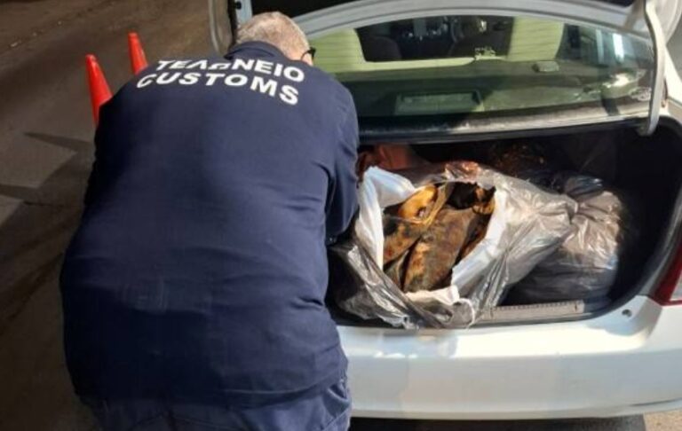 Κόκκαλα… προς κατανάλωση: Τι θα έκαναν τα 200kg που ξανακουβάλησαν από τα κατεχόμενα