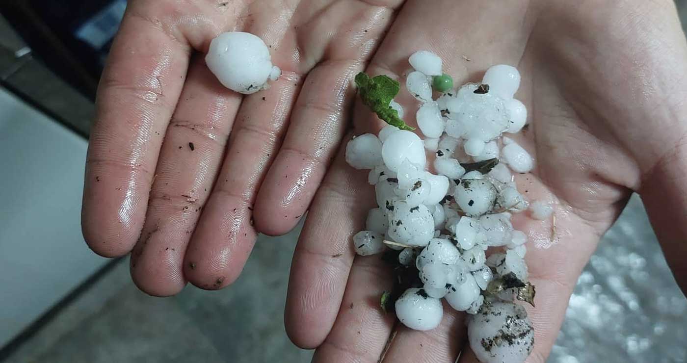 Αιτήσεις για ζημιές από χαλάζι στις επαρχίες Λάρνακας – Αμμοχώστου δέχεται το Τμήμα Γεωργίας