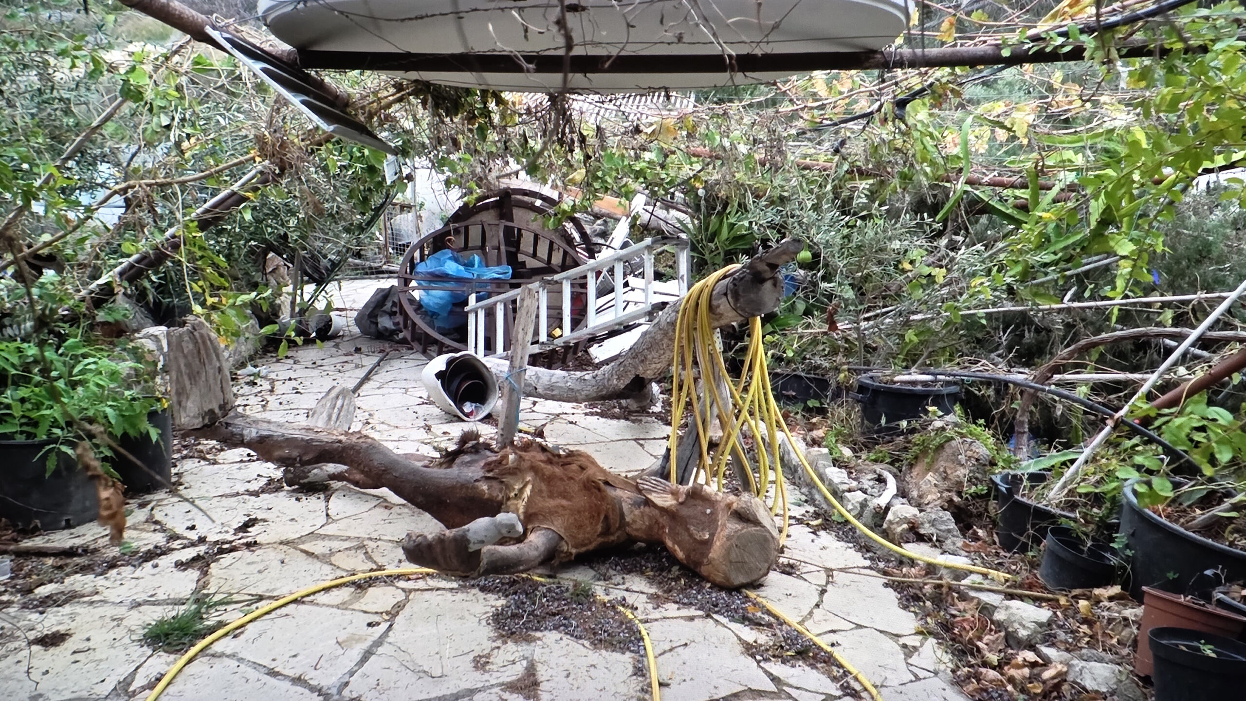 Ανεμοστρόβιλος χτύπησε την Τάλα, ξερίζωσε δέντρα και πήραν φωτιά καλώδια της ΑΗΚ (ΦΩΤΟ)