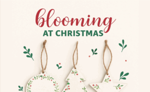 «Blooming at Christmas»: Εναλλακτικά χριστουγεννιάτικα στολίδια που ανθίζουν ως σύμβολο ελπίδας και προσφοράς