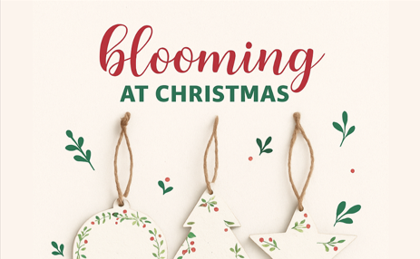 &laquo;Blooming at Christmas&raquo;: &Epsilon;&nu;&alpha;&lambda;&lambda;&alpha;&kappa;&tau;&iota;&kappa;ά &chi;&rho;&iota;&sigma;&tau;&omicron;&upsilon;&gamma;&epsilon;&nu;&nu;&iota;ά&tau;&iota;&kappa;&alpha; &sigma;&tau;&omicron;&lambda;ί&delta;&iota;&alpha; &pi;&omicron;&upsilon; &alpha;&nu;&theta;ί&zeta;&omicron;&upsilon;&nu; &omega;&sigmaf; &sigma;ύ&mu;&beta;&omicron;&lambda;&omicron; &epsilon;&lambda;&pi;ί&delta;&alpha;&sigmaf; &kappa;&alpha;&iota; &pi;&rho;&omicron;&sigma;&phi;&omicron;&rho;ά&sigmaf;