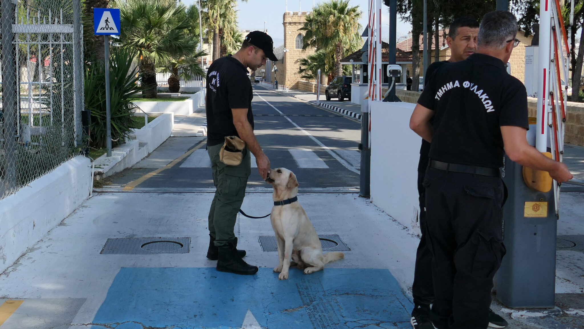 «Εμφύλιος» στις Κεντρικές: Βαριές αλληλοκατηγορίες δεσμοφυλάκων για ψεύδη, συκοφαντίες και κατάχρηση εξουσίας