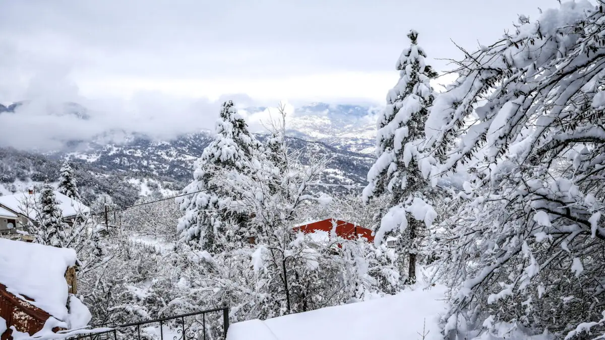 «Πάγωσε» η Κεντρική Μακεδονία: Κάτω από το μηδέν η θερμοκρασία σε πολλές περιοχές