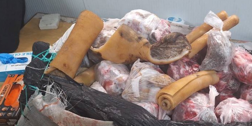 ΦΩΤΟ: Αφρικανοί έφεραν από τα κατεχόμενα 450kg κόκκαλα και δέρματα ζώων