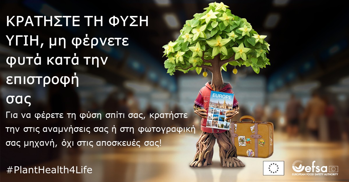 Υπεύθυνη Κηπουρική στο Σπίτι: Δημιουργώντας Κήπους που Σέβονται τη Φύση