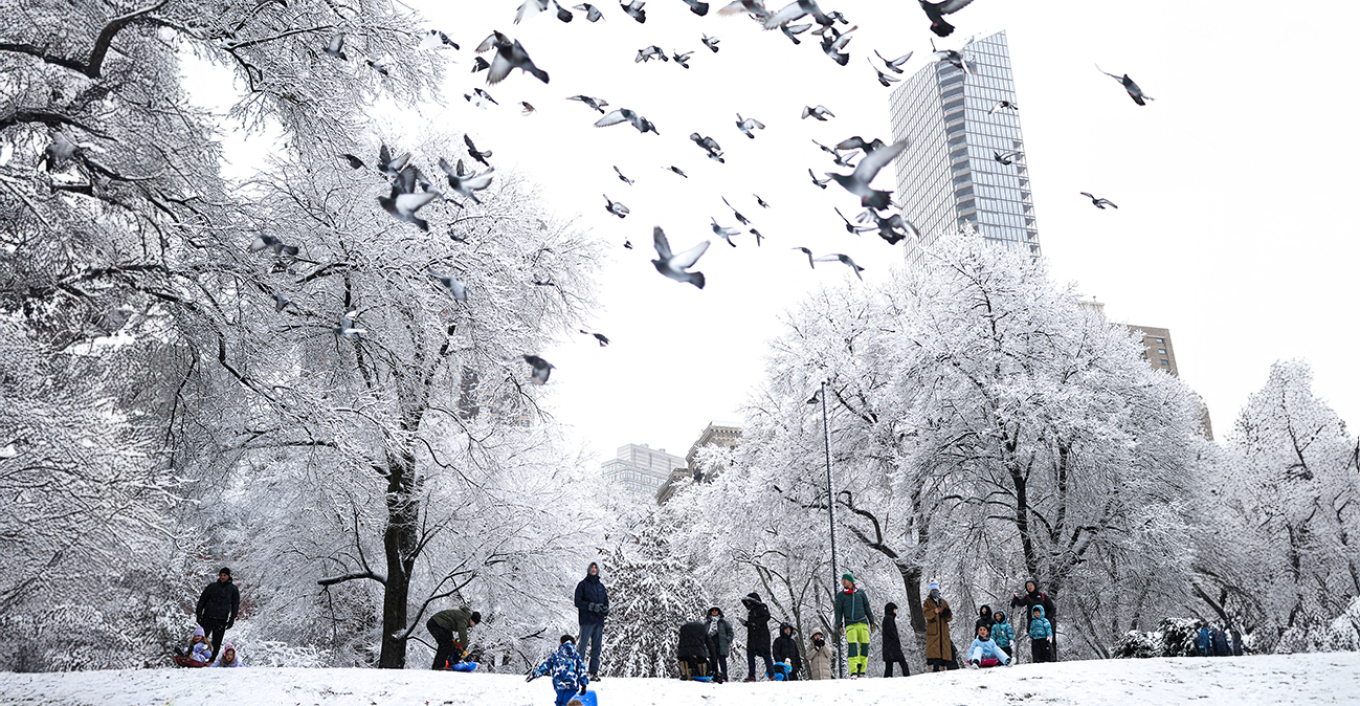 ΒΙΝΤΕΟ: Σε κατάσταση εκτάκτου ανάγκης η Νέα Υόρκη λόγω του χιονιά, ακυρώθηκαν χιλιάδες πτήσεις