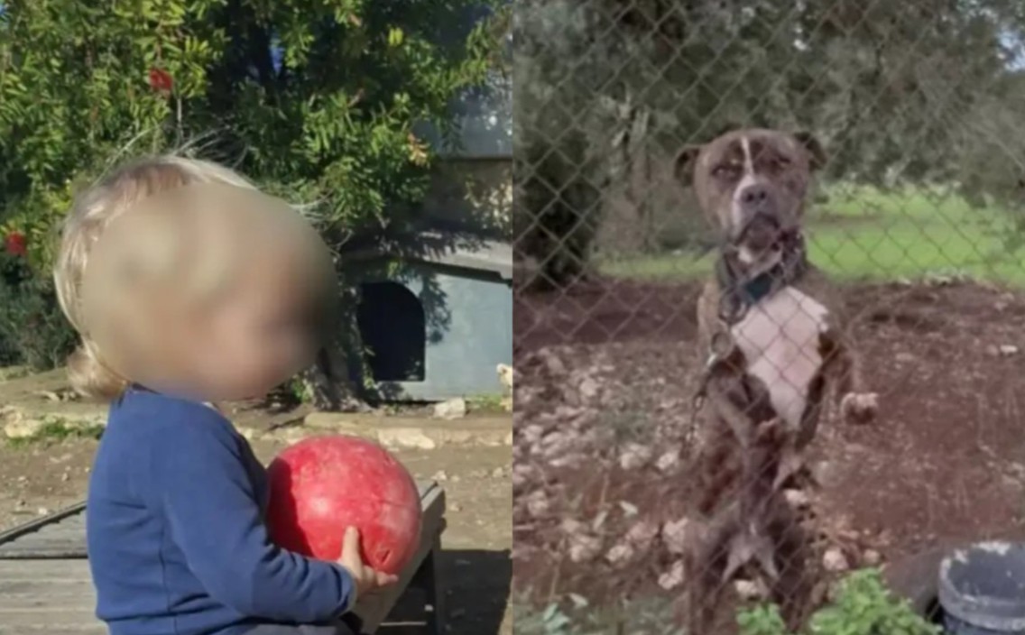 Tο τελευταίο αντίο στον 2χρονο Λίο που κατασπαράχθηκε από πίτμπουλ στη Ζάκυνθο