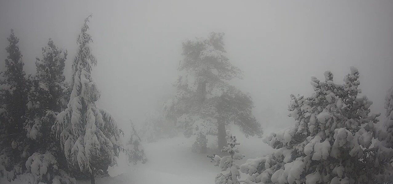 LIVE ΕΙΚΟΝΑ: Άρχισαν να πέφτουν οι πρώτες νιφάδες χιονιού στο Τρόοδος