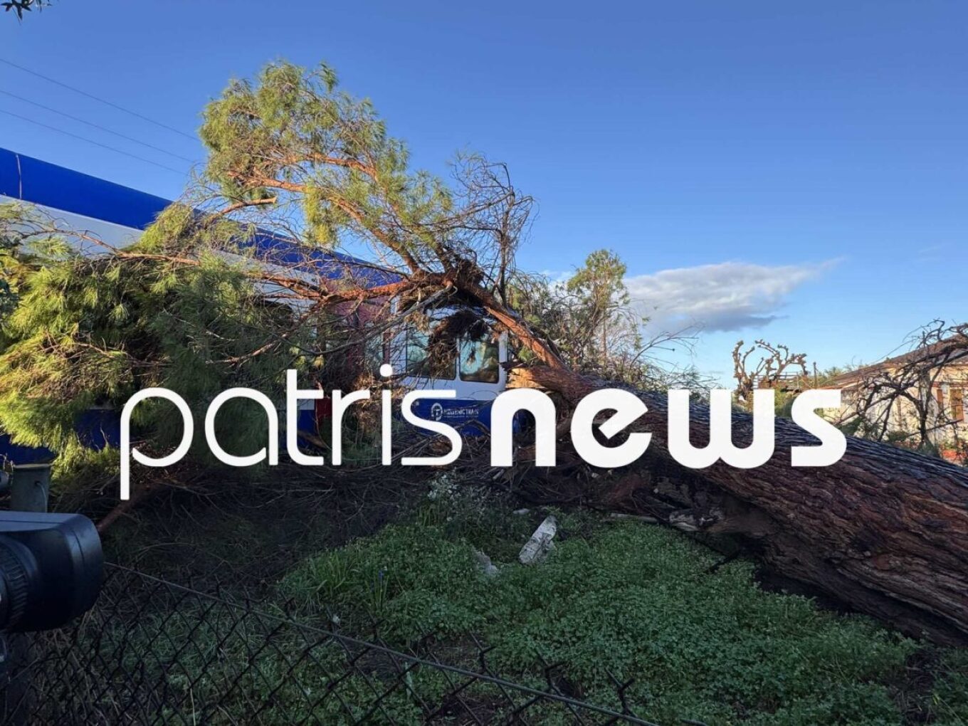 Δέντρο έπεσε σε τρένο που εκτελούσε το δρομολόγιο Πύργος – Κατάκολο, στο νοσοκομείο ο μηχανοδηγός