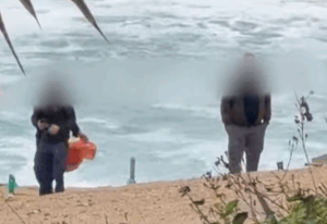 ΒΙΝΤΕΟ: Χειροπέδες σε τέσσερις για κακοποίηση χελώνας στη Χλώρακα