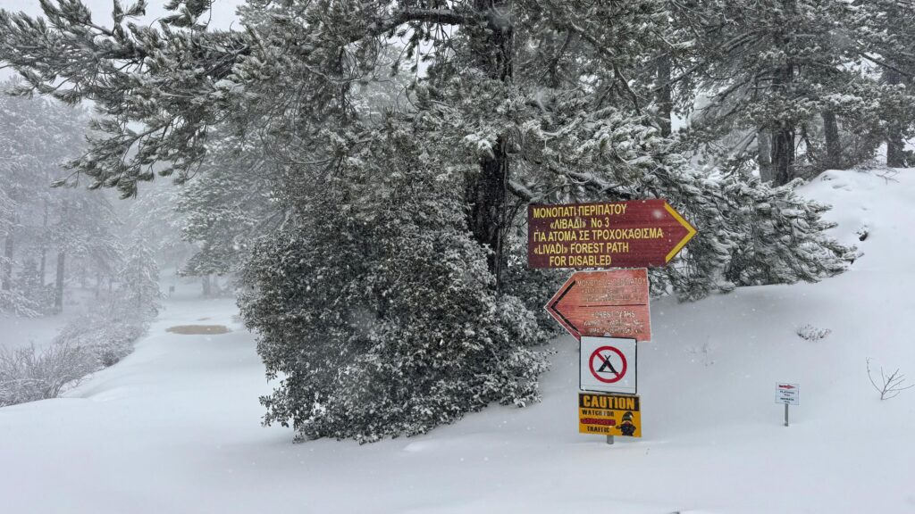 PHOTO: Dangerous Trails in Troodos Due to Snow and Frost