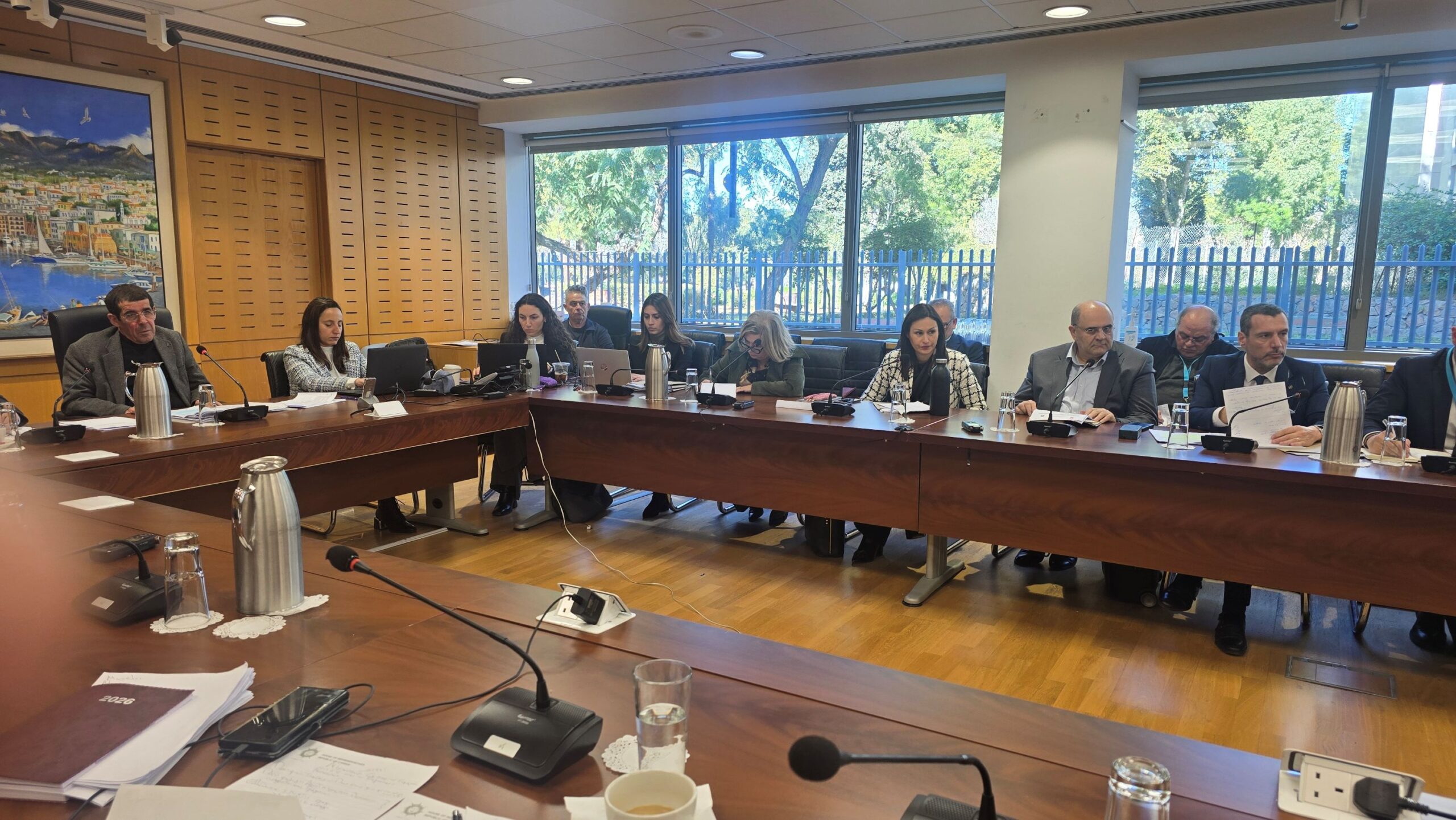 &Sigma;&tau;&omicron; &mu;&iota;&kappa;&rho;&omicron;&sigma;&kappa;ό&pi;&iota;&omicron; &tau;&eta;&sigmaf; &Epsilon;&pi;. &Gamma;&epsilon;&omega;&rho;&gamma;ί&alpha;&sigmaf; &eta; &laquo;Mercosur&raquo; &kappa;&iota; &omicron;&iota; &epsilon;&pi;&iota;&pi;&tau;ώ&sigma;&epsilon;&iota;&sigmaf; &tau;&eta;&sigmaf; &sigma;&tau;&eta;&nu; &alpha;&gamma;&rho;&omicron;&tau;&iota;&kappa;ή &omicron;&iota;&kappa;&omicron;&nu;&omicron;&mu;ί&alpha;