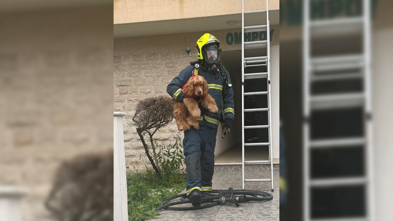 ΦΩΤΟ: Η στιγμή που πυροσβέστης σώζει σκυλάκι από την πυρκαγιά που έστειλε οκτώ άτομα στο νοσοκομείο