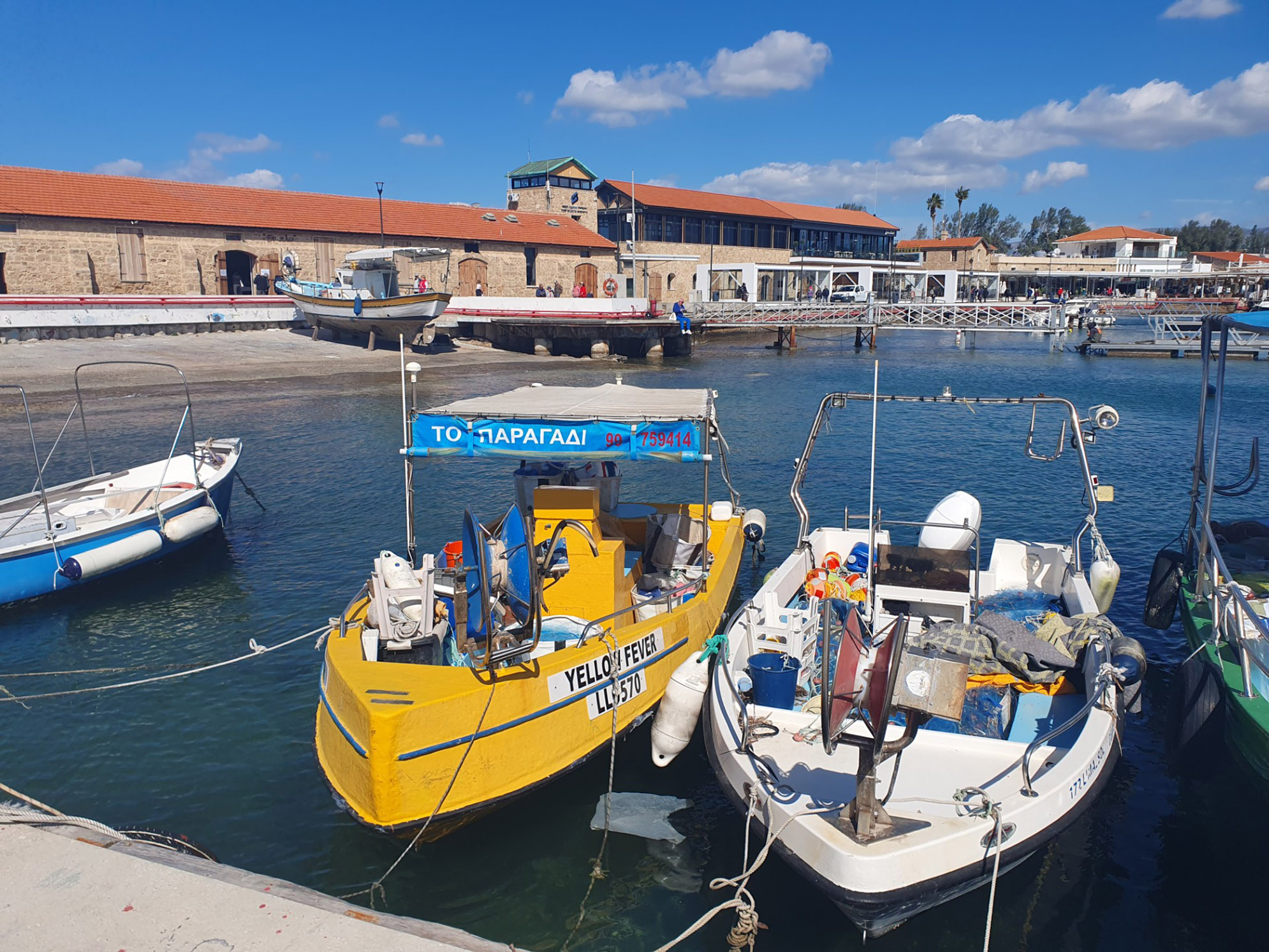 Σε παρακμή οι επαγγελματίες ψαράδες: Αποζημιώσεις αδικίας και ψεύτικες αποδείξεις