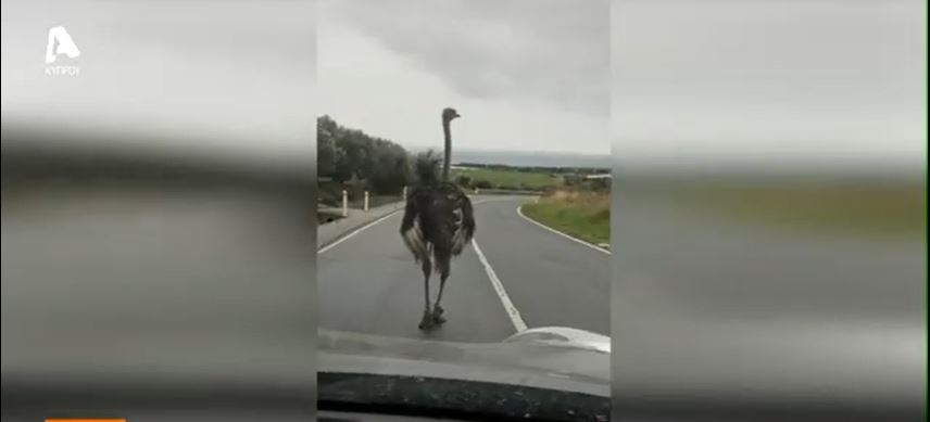 &Beta;&Iota;&Nu;&Tau;&Epsilon;&Omicron;: &Epsilon;&pi;ί &pi;&omicron;&delta;ό&sigmaf; &Alpha;&rho;&chi;έ&sigmaf; &kappa;&alpha;&iota; &iota;&delta;&iota;&omicron;&kappa;&tau;ή&tau;&eta;&sigmaf; &phi;ά&rho;&mu;&alpha;&sigmaf; &gamma;&iota;&alpha; &nu;&alpha; &epsilon;&nu;&tau;&omicron;&pi;&iota;&sigma;&tau;&epsilon;ί &omicron; &laquo;&phi;&upsilon;&gamma;ά&sigmaf;&raquo; &sigma;&tau;&rho;&omicron;&upsilon;&theta;&omicron;&kappa;ά&mu;&eta;&lambda;&omicron;