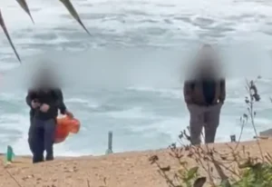 Ελεύθεροι οι τέσσερις για την κακοποίηση της χελώνας στη Χλώρακα, τι λέει η Αστυνομία