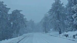 ΒΙΝΤΕΟ: Το «έστρωσε» για τα κάλα στο Τροόδος, μαγικές εικόνες έφεραν τα χιόνια