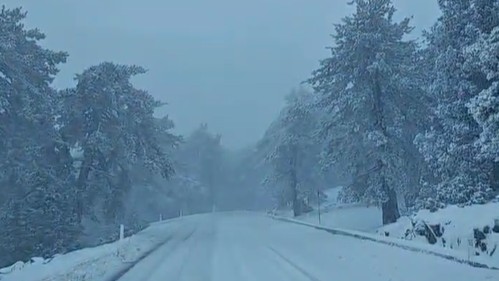 ΒΙΝΤΕΟ: Το «έστρωσε» για τα κάλα στο Τροόδος, μαγικές εικόνες έφεραν τα χιόνια