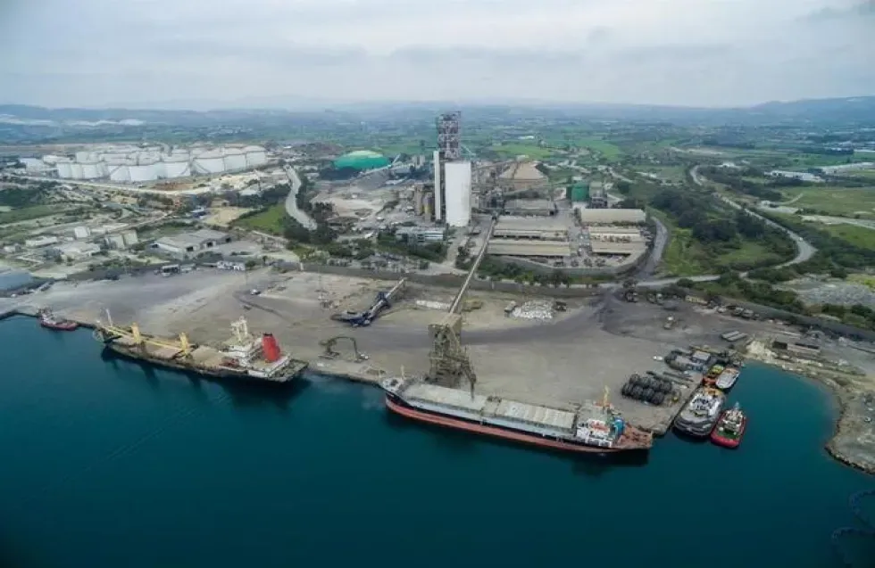 &Tau;&epsilon;&rho;&mu;&alpha;&tau;&iota;&kappa;ό &Beta;&alpha;&sigma;&iota;&lambda;&iota;&kappa;&omicron;ύ: &Omicron;&iota; &epsilon;&pi;&iota;&pi;&tau;ώ&sigma;&epsilon;&iota;&sigmaf;, &omicron;&iota; &alpha;&nu;&tau;&iota;&phi;ά&sigma;&epsilon;&iota;&sigmaf; &kappa;&alpha;&iota; &eta; &alpha;&beta;&epsilon;&beta;&alpha;&iota;ό&tau;&eta;&tau;&alpha; &epsilon;&nu;ό&sigmaf; &phi;&iota;ά&sigma;&kappa;&omicron;&upsilon;