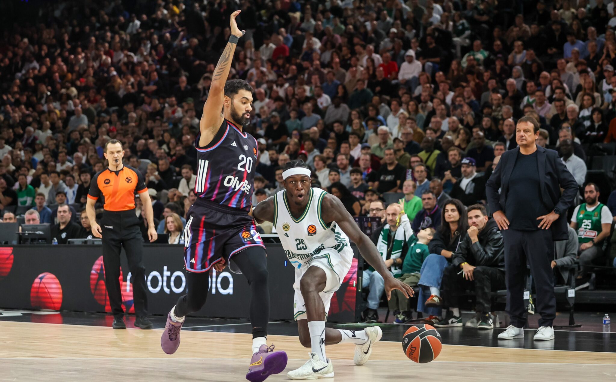 Παναθηναϊκός-Παρί: Επιστροφή στις ευρωπαϊκές υποχρεώσεις μετά το Κύπελλο για τους «πράσινους»