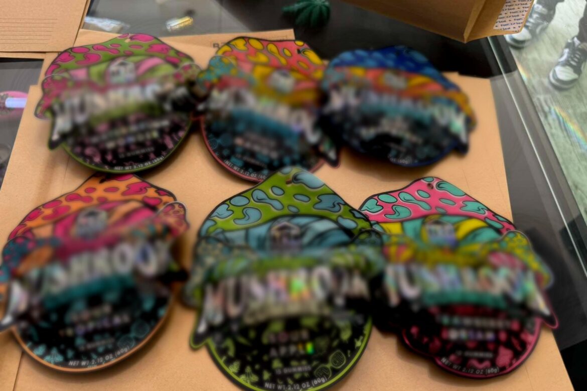 «Ντου» ΥΚΑΝ σε υποστατικό στη Λευκωσία