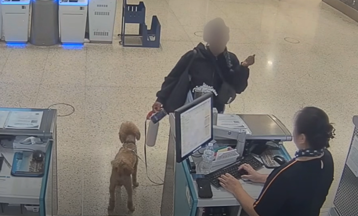 ΒΙΝΤΕΟ: Τουρίστρια εγκατέλειψε το σκυλάκι της στο αεροδρόμιο και συνελήφθη