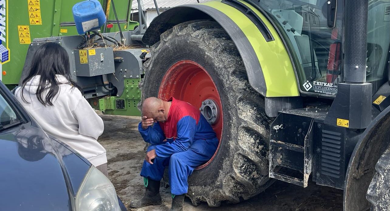 «Σε πόλεμο η κτηνοτροφία»: Εφιαλτικές προβλέψεις για τις επιπτώσεις του αφθώδους πυρετού στην οικονομία