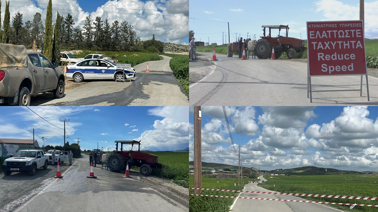 Αυτοψία Alpha: Δραματικές στιγμές στις περιοχές που «χτυπήθηκαν» από τον αφθώδη πυρετό