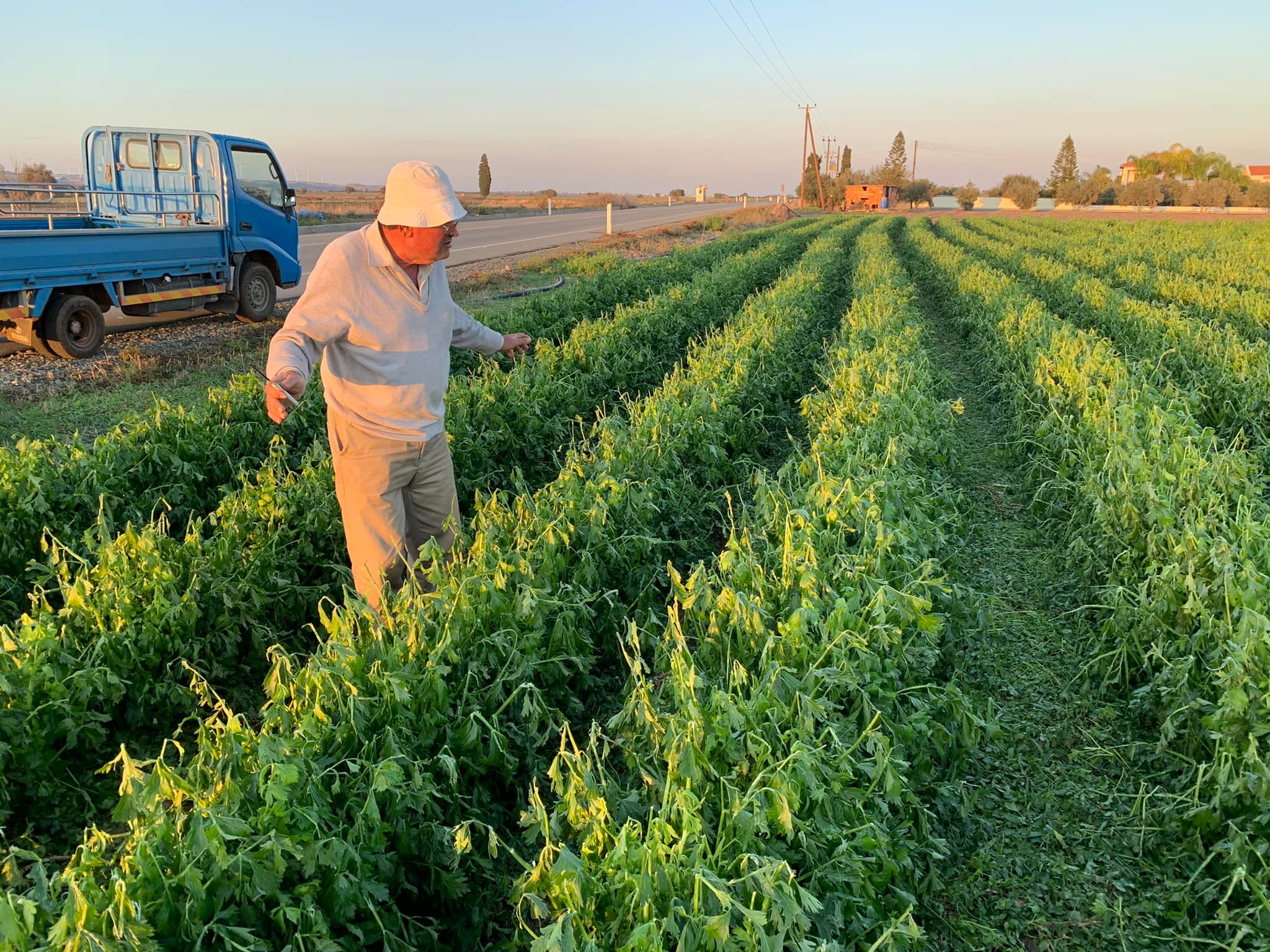 Όταν η γραφειοκρατία στραγγαλίζει την ύπαιθρο
