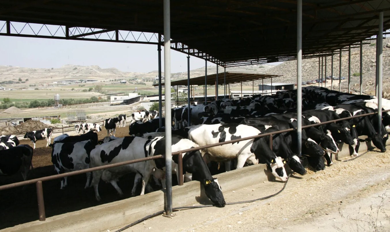 Λειβαδιώτης για μολυσμένα ζώα: Είναι λάθος οι καταναλωτές να αποθηκεύουν κρέας