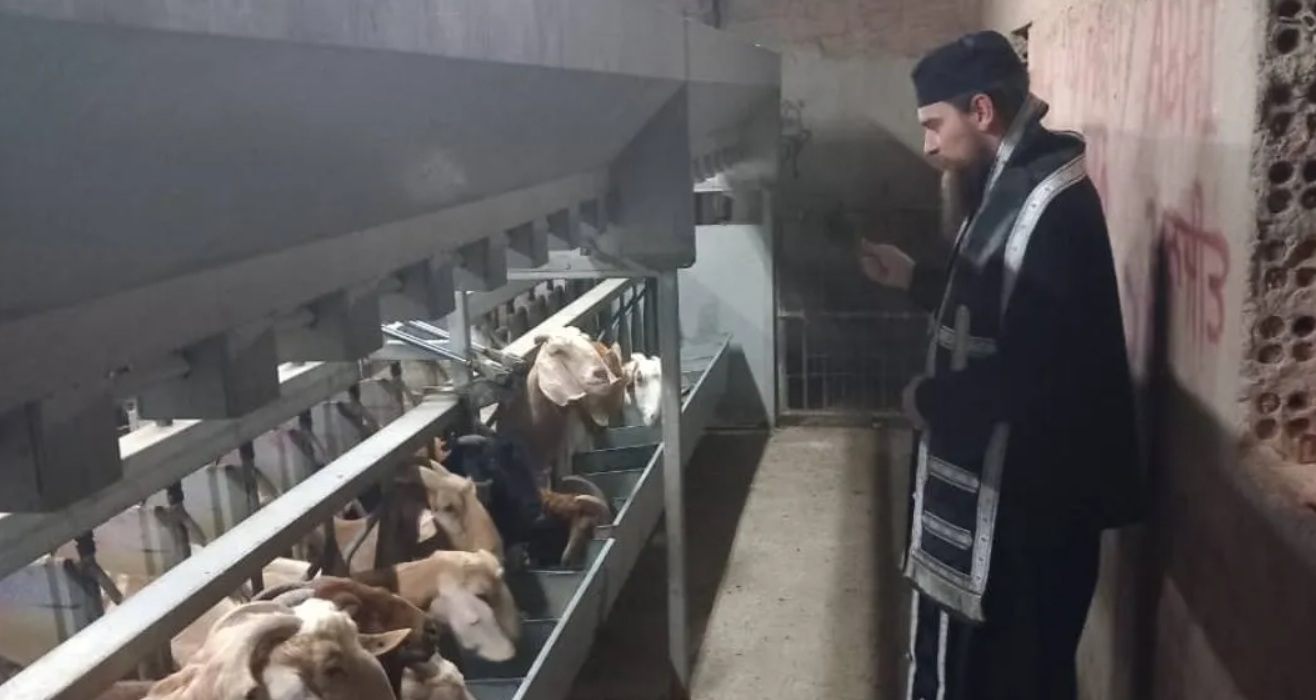 «Υπήρχε αστυνομία»: Τι λέει μετά τον σάλο ο ιερέας που ευλόγησε φάρμα ζώων στη Λάρνακα