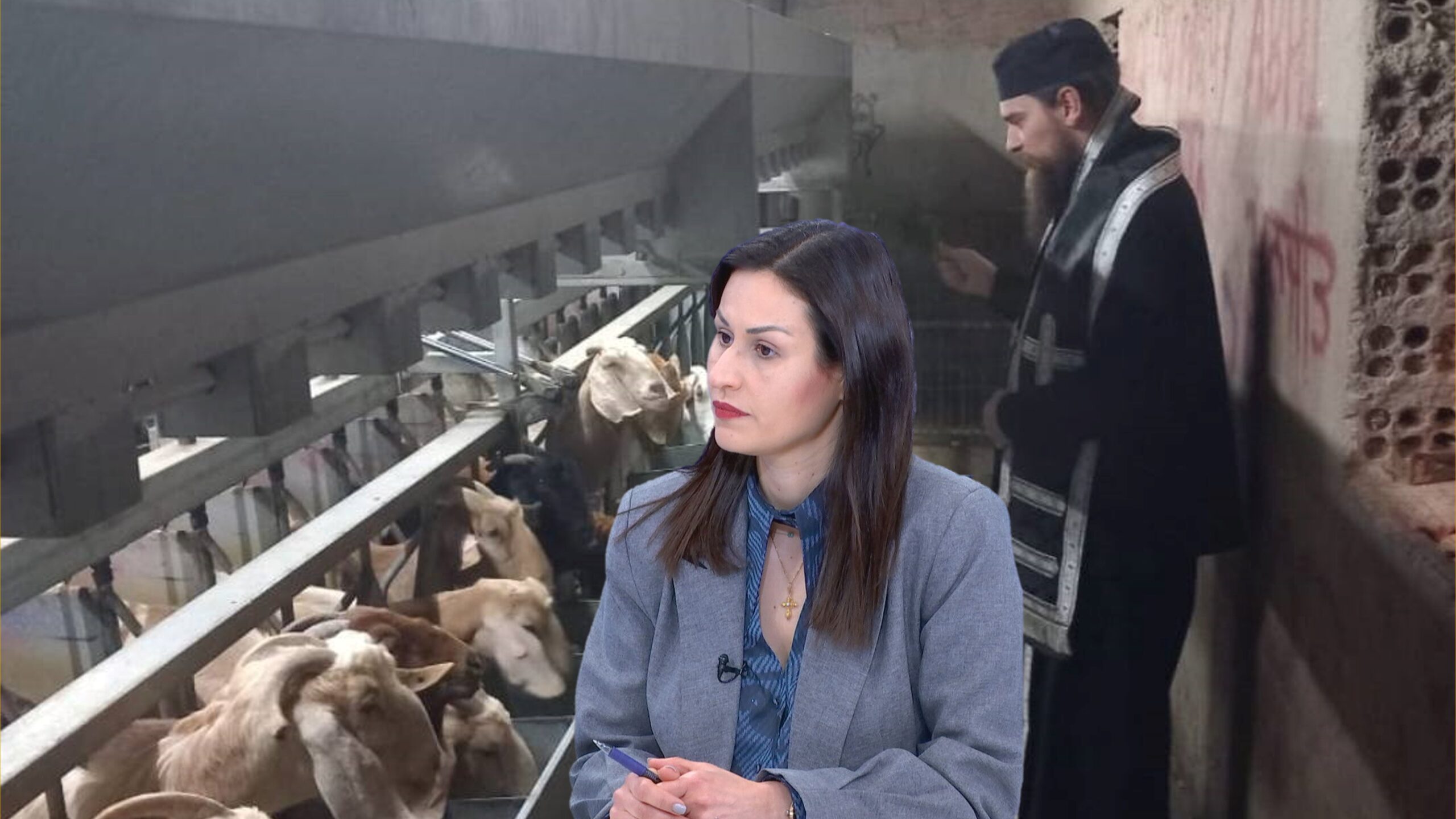 &laquo;&Epsilon;ί&chi;&alpha;&nu; &psi;&epsilon;&kappa;&alpha;&sigma;&tau;&epsilon;ί&raquo;: &Tau;&iota; &lambda;έ&epsilon;&iota; &eta; &Mu;&alpha;&rho;ί&alpha; &Pi;&alpha;&nu;&alpha;&gamma;&iota;ώ&tau;&omicron;&upsilon; &gamma;&iota;&alpha; &tau;&omicron;&upsilon;&sigmaf; &iota;&epsilon;&rho;&epsilon;ί&sigmaf; &pi;&omicron;&upsilon; &tau;έ&lambda;&epsilon;&sigma;&alpha;&nu; &alpha;&gamma;&iota;&alpha;&sigma;&mu;ό &sigma;&epsilon; &phi;ά&rho;&mu;&alpha; &sigma;&tau;&omicron;&upsilon;&sigmaf; &Tau;&rho;&omicron;ύ&lambda;&lambda;&omicron;&upsilon;&sigmaf;