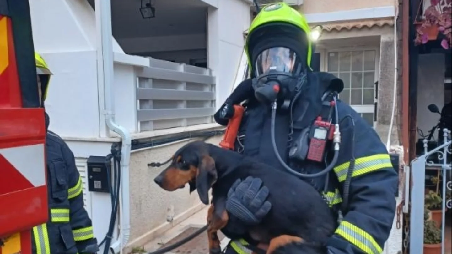 ΦΩΤΟ: Έσωσαν σκύλο από διαμέρισμα που καιγόταν στην Λευκωσία