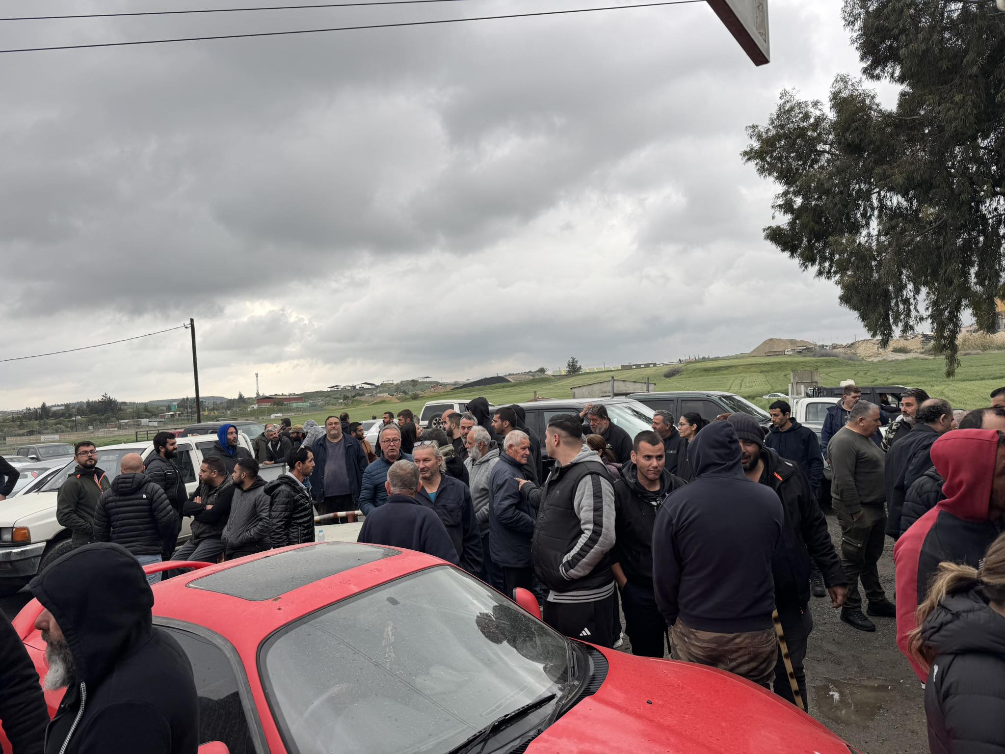 ΦΩΤΟ: Μαζικές προσφυγές ετοιμάζουν οι κτηνοτρόφοι για να σταματήσουν τις θανατώσεις