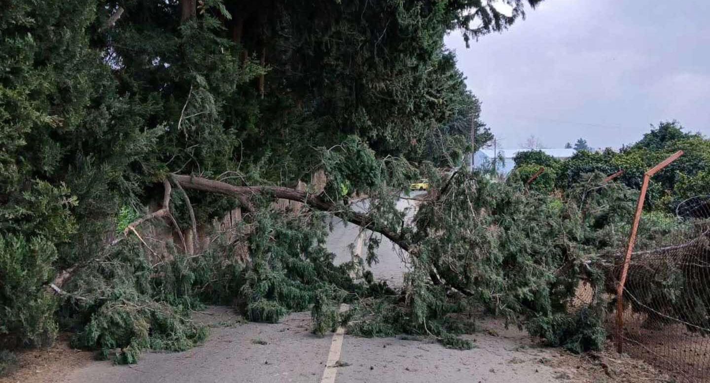 Δεν άφησαν τίποτα όρθιο: Σφοδροί άνεμοι έκοψαν δέντρα, έσπασαν στέγη και ξερίζωσαν φωτοβολταϊκά