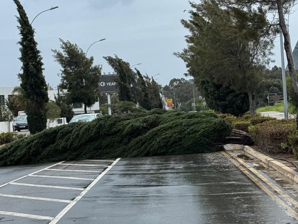 &Phi;&Omega;&Tau;&Omicron;: &Tau;&alpha; &sigma;ή&kappa;&omega;&sigma;&epsilon; ό&lambda;&alpha;&hellip; έ&tau;&rho;&epsilon;&chi;&alpha;&nu; &kappa;&alpha;&iota; &delta;&epsilon;&nu; έ&phi;&tau;&alpha;&nu;&alpha;&nu; &omicron;&iota; &alpha;&rho;&chi;έ&sigmaf; &mu;&epsilon;&tau;ά &tau;&eta;&nu; &epsilon;&pi;έ&lambda;&alpha;&sigma;&eta; &sigma;&phi;&omicron;&delta;&rho;ώ&nu; &alpha;&nu;έ&mu;&omega;&nu;