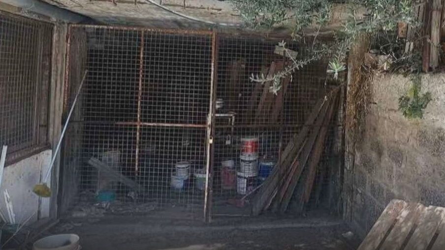 &Phi;&Omega;&Tau;&Omicron;: &Alpha;&pi;&alpha;&nu;&tau;ά &eta; &kappa;&upsilon;&beta;έ&rho;&nu;&eta;&sigma;&eta; &gamma;&iota;&alpha; &tau;&eta;&nu; &epsilon;&pi;ά&rho;&kappa;&epsilon;&iota;&alpha; &kappa;&alpha;&iota; &epsilon;&iota;&kappa;ό&nu;&epsilon;&sigmaf; &kappa;&alpha;&tau;&alpha;&phi;&upsilon;&gamma;ί&omega;&nu; &sigma;&epsilon; ά&theta;&lambda;&iota;&alpha; &kappa;&alpha;&tau;ά&sigma;&tau;&alpha;&sigma;&eta;