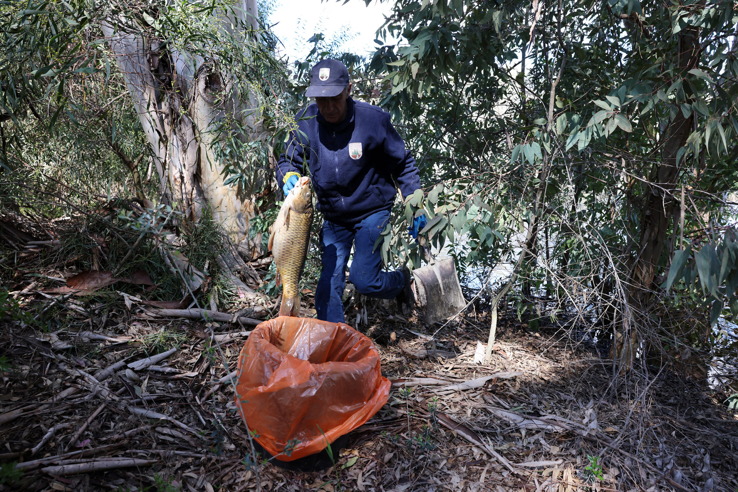 &Pi;ό&tau;&epsilon; &theta;&alpha; έ&chi;&omicron;&upsilon;&nu; &alpha;&pi;&alpha;&nu;&tau;ή&sigma;&epsilon;&iota;&sigmaf; &gamma;&iota;&alpha; &tau;&alpha; &nu;&epsilon;&kappa;&rho;ά &psi;ά&rho;&iota;&alpha; &sigma;&tau;&omicron; &pi;ά&rho;&kappa;&omicron; &Alpha;&theta;&alpha;&lambda;ά&sigma;&sigma;&alpha;&sigmaf;, έ&beta;&alpha;&lambda;&alpha;&nu; &kappa;&omicron;&rho;&delta;έ&lambda;&epsilon;&sigmaf; &sigma;&tau;&omicron; &sigma;&eta;&mu;&epsilon;ί&omicron; &omicron;&iota; &alpha;&rho;&mu;ό&delta;&iota;&omicron;&iota;
