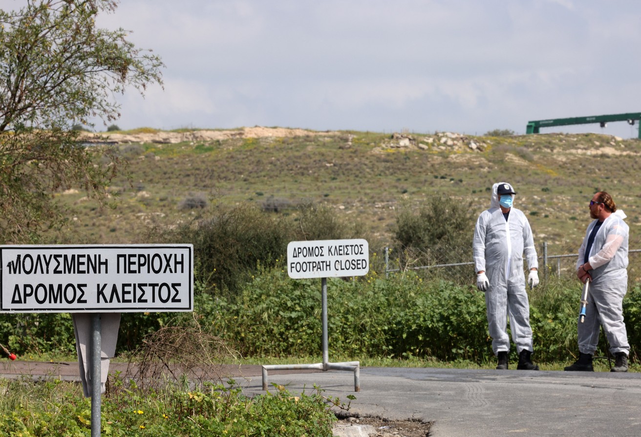 «Ό,τι εμπορούσαμε εκάμαμε»: Ανεξέλεγκτες διαστάσεις παίρνει ο αφθώδης πυρετός, λυγίζουν οι κτηνοτρόφοι
