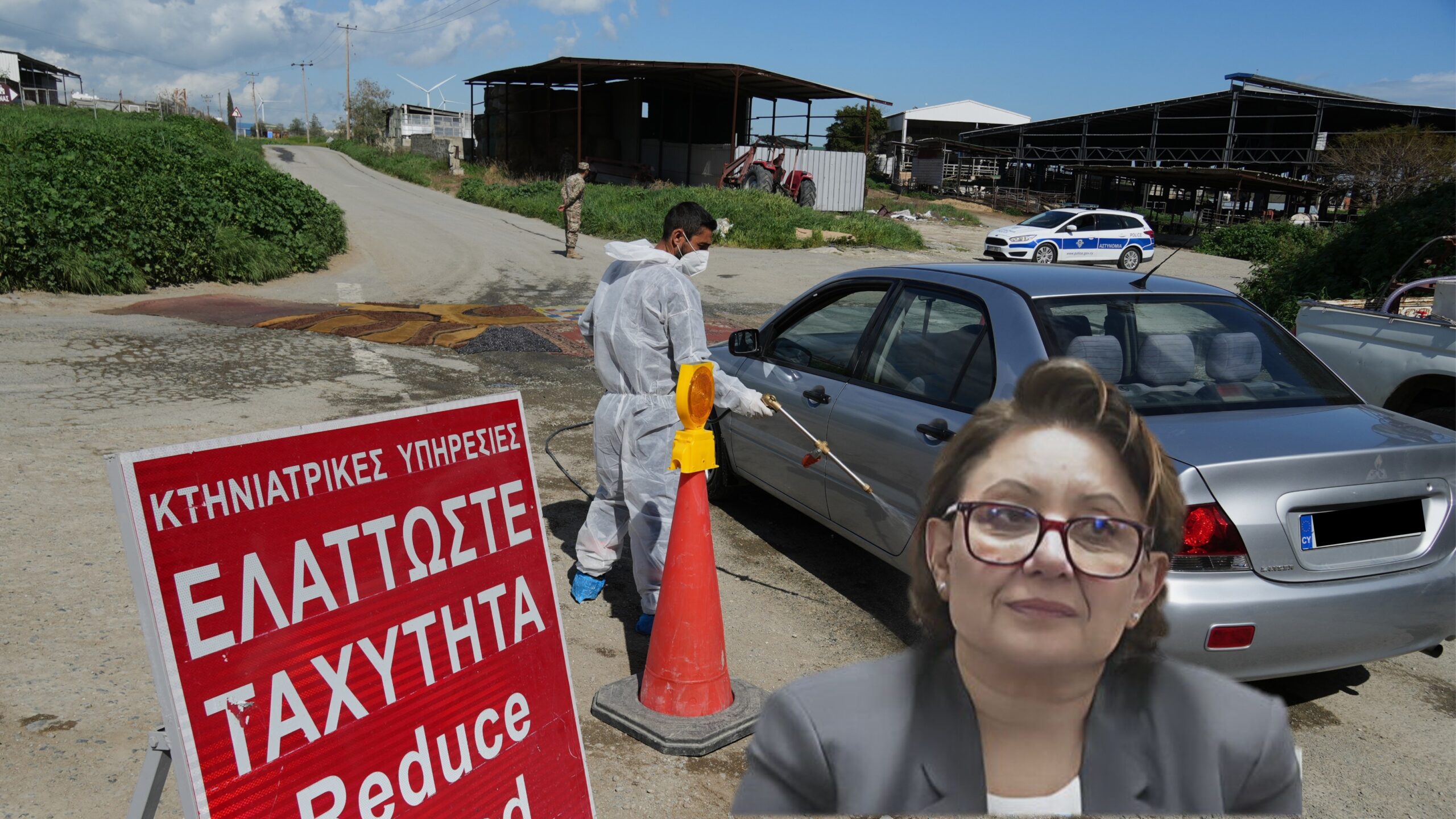 Γιατί διαφέρει ο αφθώδης πυρετός από τον Covid, μπορεί ένα μολυσμένο ζώο να ιαθεί;