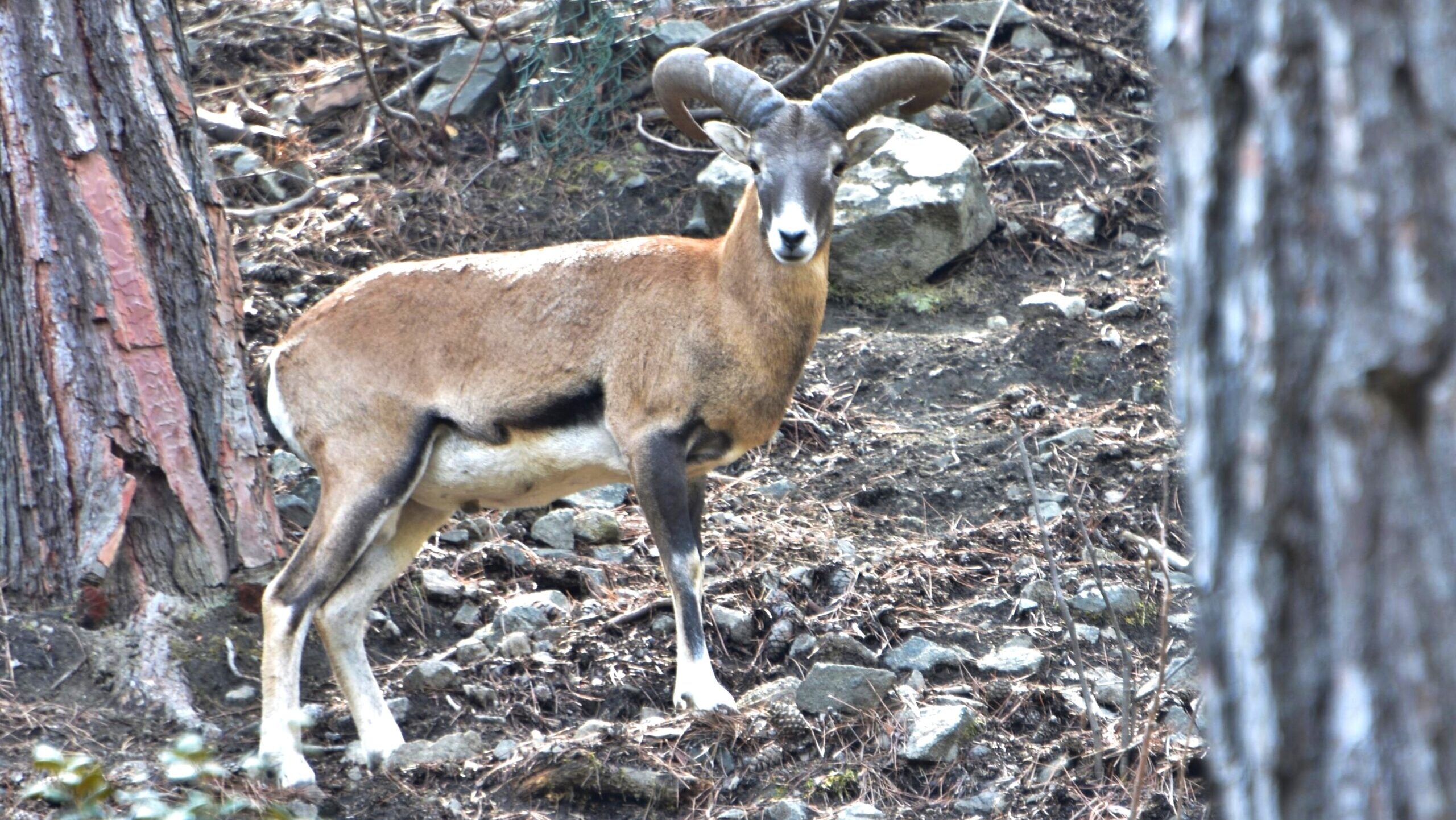 &Kappa;&lambda;&epsilon;&iota;&sigma;&tau;έ&sigmaf; &omicron;&iota; &delta;&omicron;&mu;έ&sigmaf; &alpha;&gamma;&rho;&iota;&nu;ώ&nu;: &Alpha;&upsilon;&tau;ά &epsilon;ί&nu;&alpha;&iota; &tau;&alpha; &mu;έ&tau;&rho;&alpha; &pi;&rho;&omicron;&sigma;&tau;&alpha;&sigma;ί&alpha;&sigmaf; &kappa;&alpha;&tau;ά &tau;&omicron;&upsilon; &alpha;&phi;&theta;ώ&delta;&omicron;&upsilon;&sigmaf; &pi;&upsilon;&rho;&epsilon;&tau;&omicron;ύ