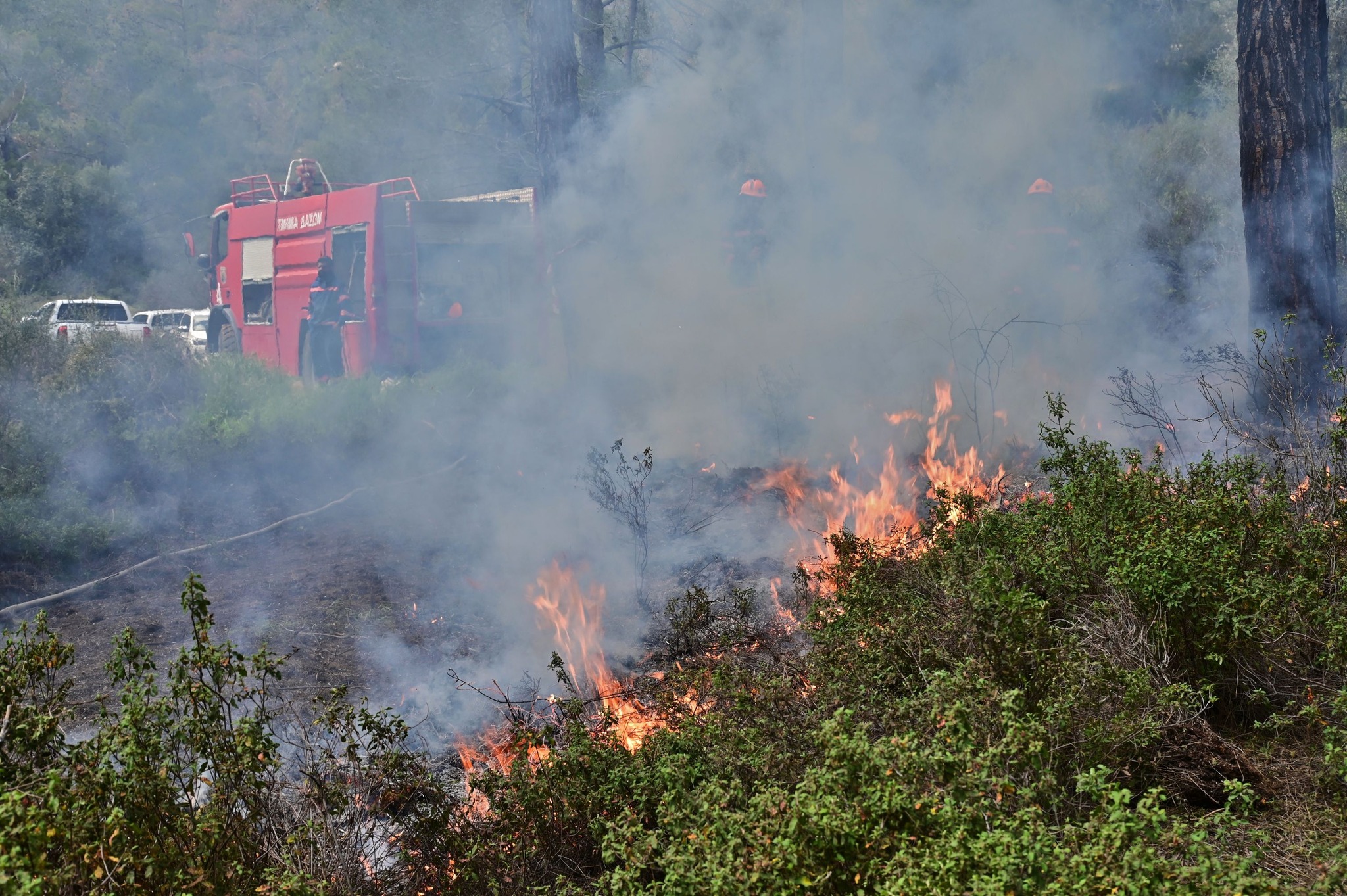 ΒΙΝΤΕΟ: Καρέ-καρέ η διαδικασία της ελεγχόμενης καύσης στις παρυφές του Δάσους Μαχαιρά
