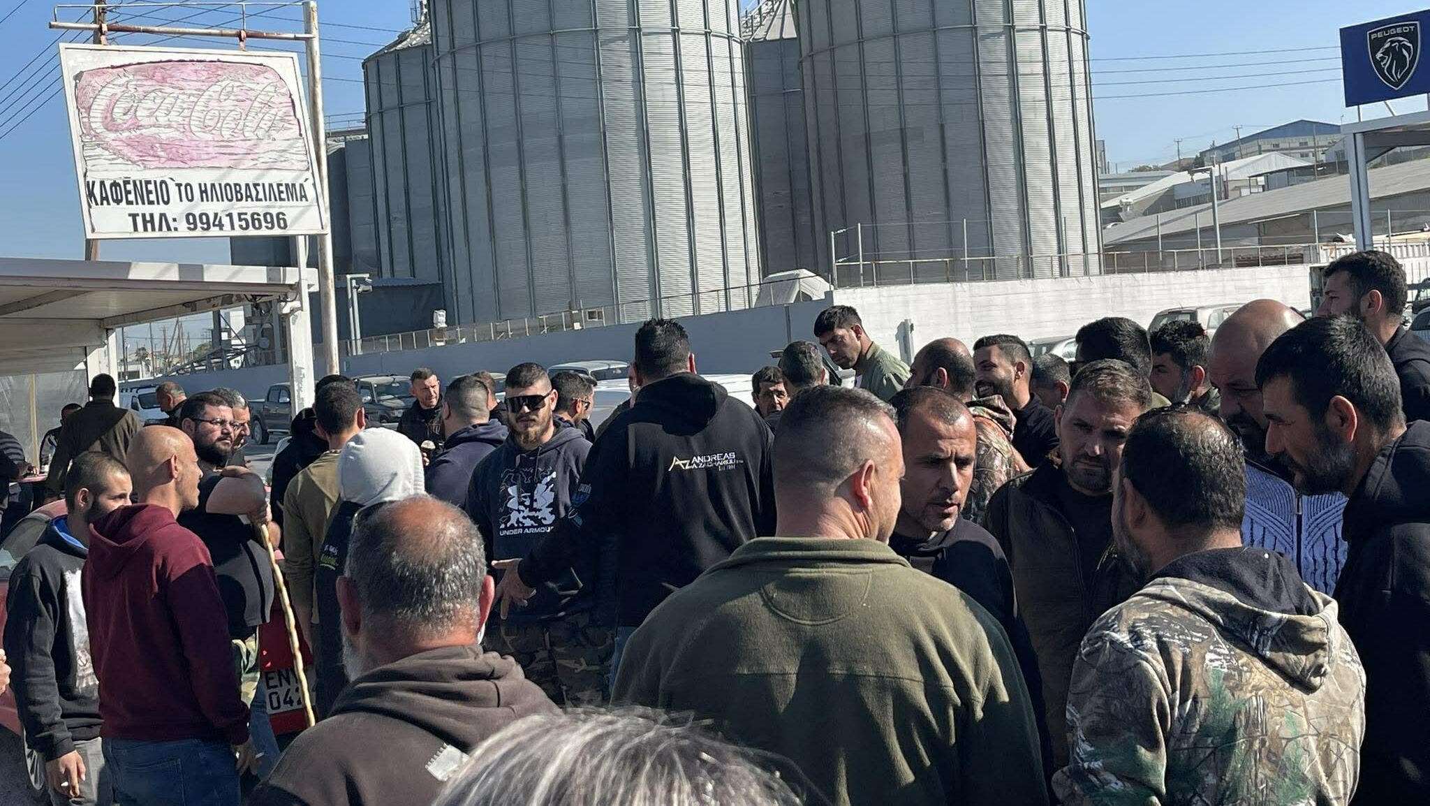 «Οι θανατώσεις ζώων συνεχίζονται»: Τι λένε οι Κτηνιατρικές Υπηρεσίες για τη διαμαρτυρία στην Αραδίππου