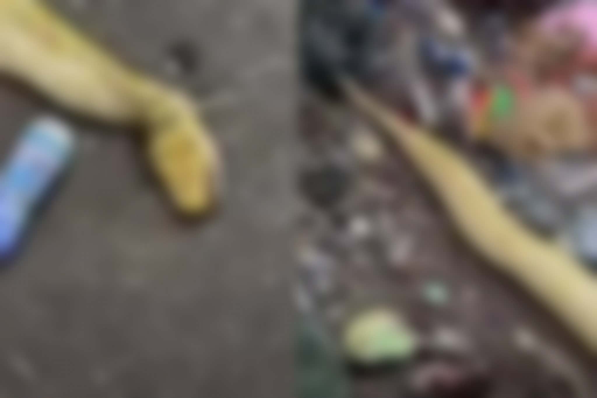 Μακάβριο εύρημα στον ΟΕΔΑ Πεντακώμου: Πέταξαν στα σκουπίδια νεκρό πύθωνα, αγανακτισμένος ο Κοινοτάρχης