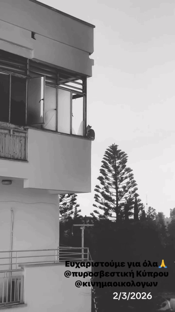 ΒΙΝΤΕΟ: Καρέ καρέ η διάσωση γάτου που παγιδεύτηκε σε μπαλκόνι στη Λευκωσία