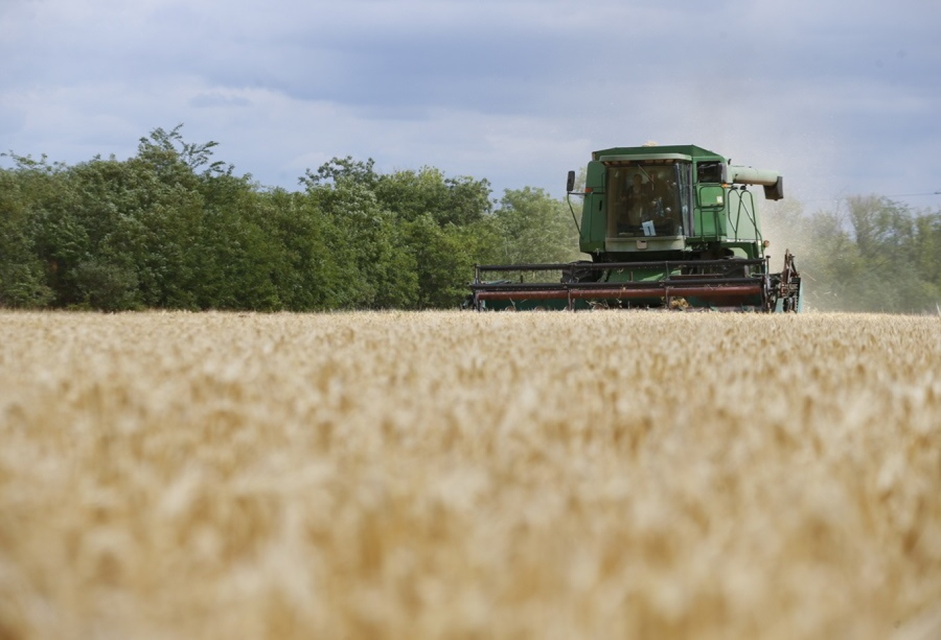 «Χτυπά» και τους σιτηροπαραγωγούς ο αφθώδης πυρετός, κραυγή απόγνωσης κι από γεωργούς